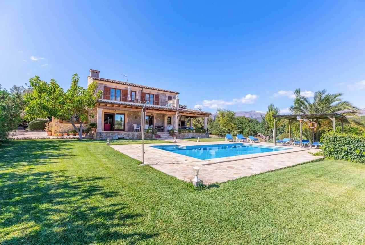L'olivar Pollença